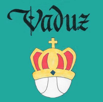 vaduz_softball's profile picture. 【2019年末をもって解散しました】 都内を中心に活動している大学生ソフトボールサークルのファドゥーツです！男女ともインカレです！