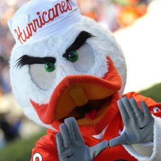 Accepted Into The University of Miami Class of 2020?! Follow this account to get connected! NOT affiliated with University