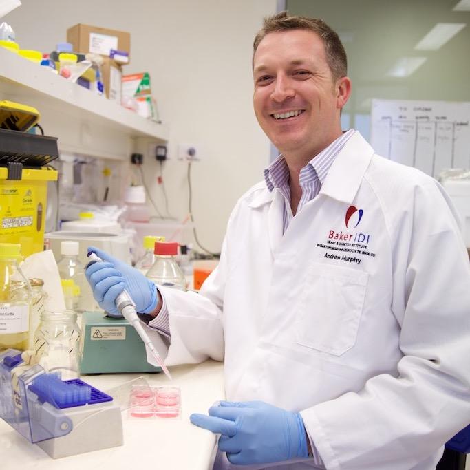 Prof Andrew Murphy Profile