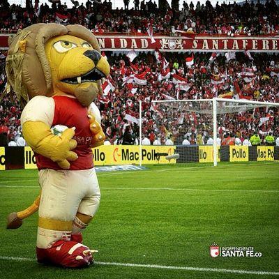 MASCOTA DE @SantaFe PRIMER CAMPEÓN DEL FÚTBOL COLOMBIANO. EL LEÓN LLEGO A DAR GARRA Y FIEREZA AL CONJUNTO CARDENAL.