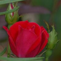 صدقه جاريه ﻻبي وأخي  (@drdr15gmailcom1) 's Twitter Profile