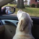 Miriam Frederick - @country_loves23 - Twitter