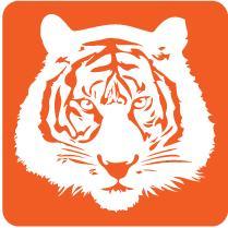 IntTigerProject's profile picture. The Sumatran tiger is critically endangered, with as little as 300 left in the wild. Help save the tigers!