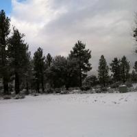 Tyler J Wiggins (@trwiggy123) 's Twitter Profile