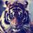 hiddencash_nola's profile image