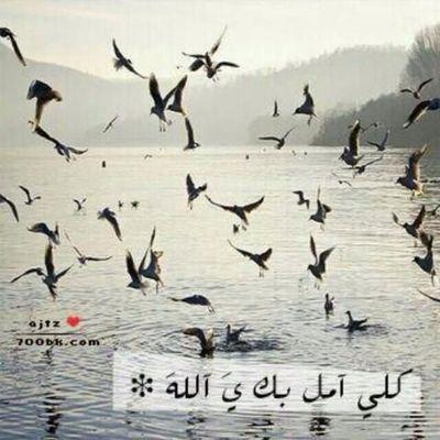‏مشاعري تملي وقلمي يكتب في صفحتي