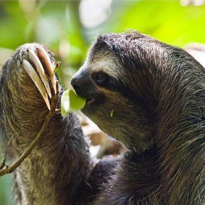 arlex_serna's profile picture. 