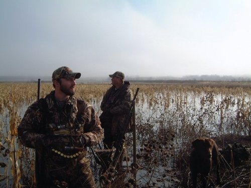 robertnash's profile picture. 