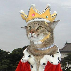 猫の王様 @King_of_Neko_7 のツイプロ