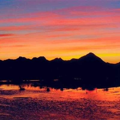 MatthewMcarlton's profile picture. 