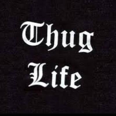 The best of ThugLife Vines on the internet. (I do not own any of the content I post)