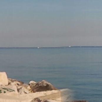 Abcdef72826727's profile picture. 