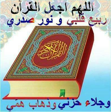 عبدالله علي عبدالله