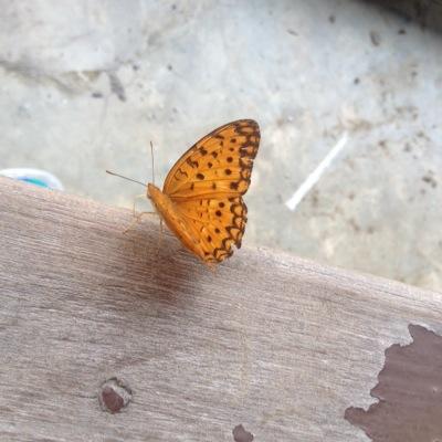 akunnya dibajak orang!
