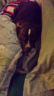 ktod33's profile picture. 