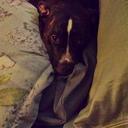 katie odonnell - @ktod33 - Twitter