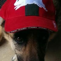 Finners (@rayfinners) 's Twitter Profile