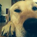 María José Oliva - @MariaJoseOlivaN - Twitter