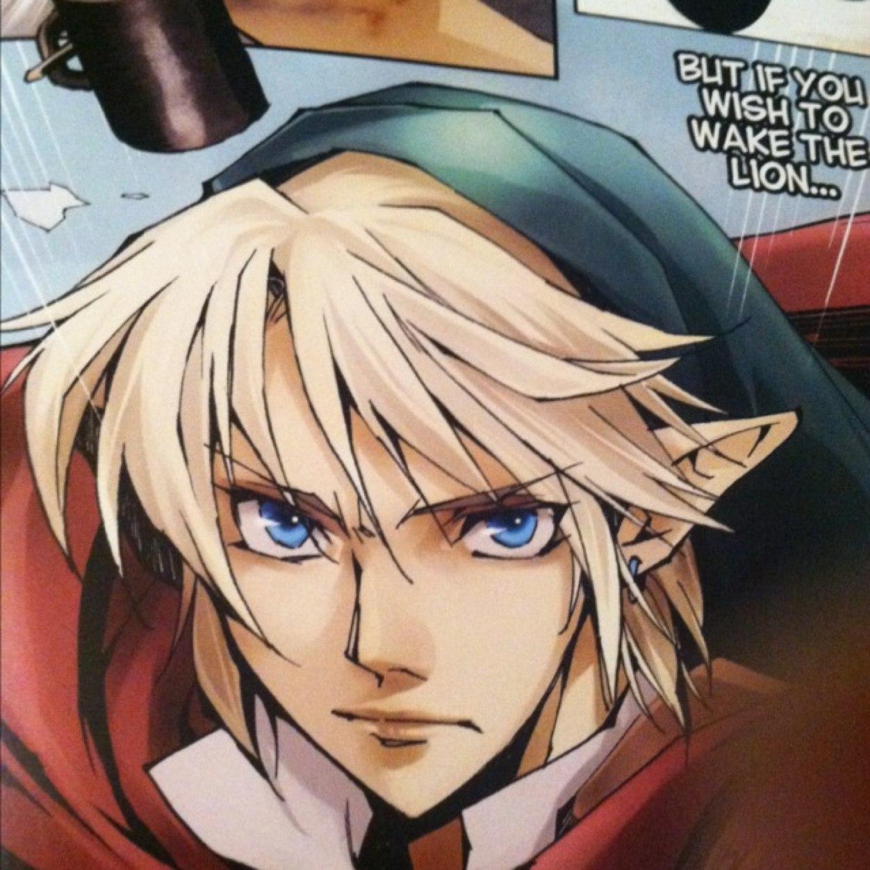 The chosen Hero of the Triforce of Courage. Savior of Hyrule, wielder of the legendary Master Sword. #SSBRP. #LoZRP. #TeamNintendo.