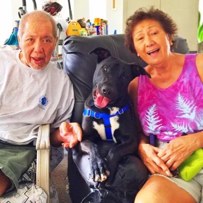 Training companion dogs to be of service to disabled adults of limited means. Paws 4 Ability is a program of Hope 4 Disabilities, a 501(c)(3) nonprofit.