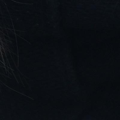 もういませんさんのプロフィール画像