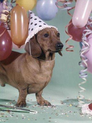 Nader4Prez's profile picture. Was once told that I had the creativity of a carrot.