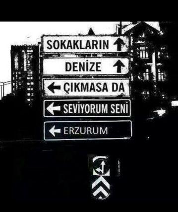 beyzabal25's profile picture. 