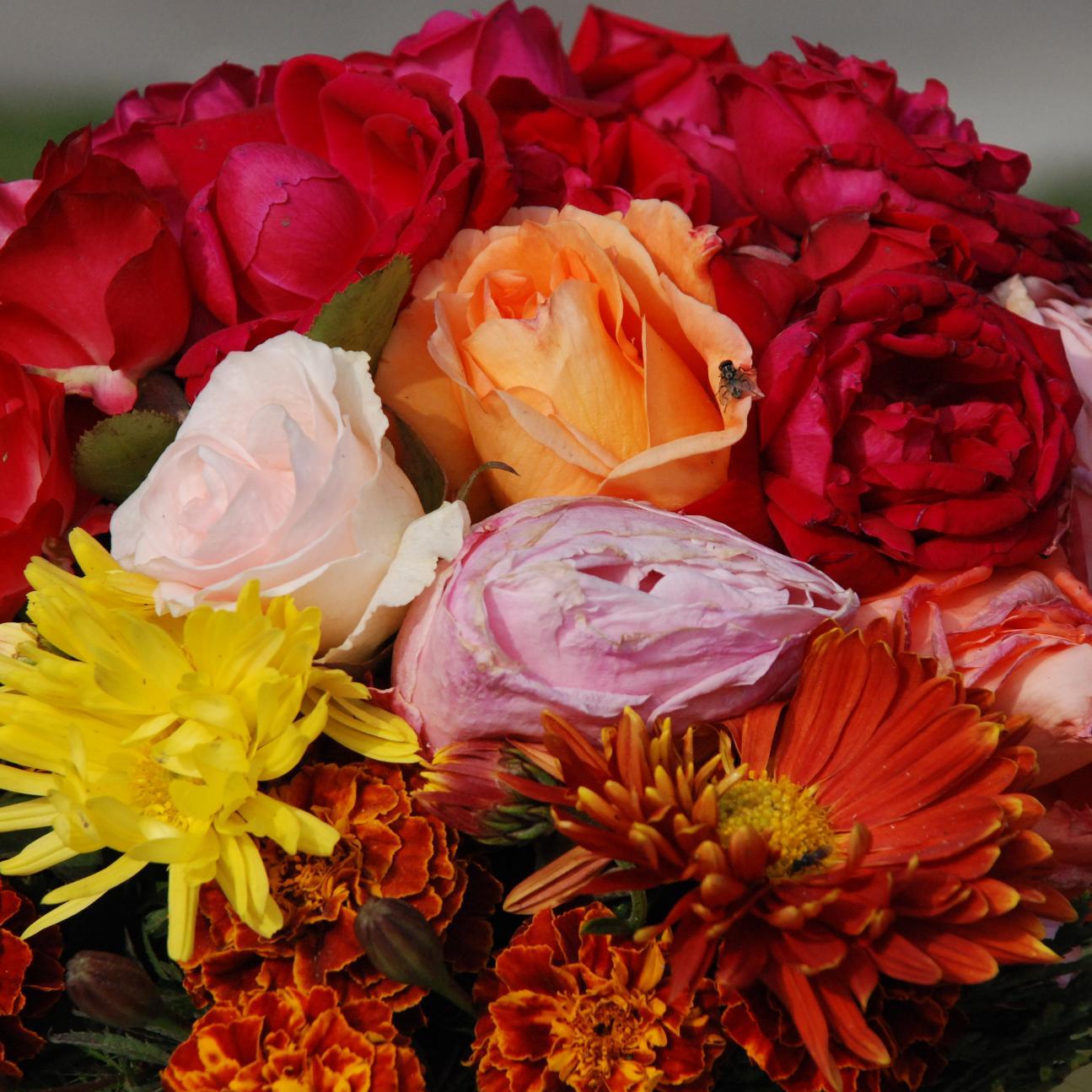 salmanniaz1's profile picture. 