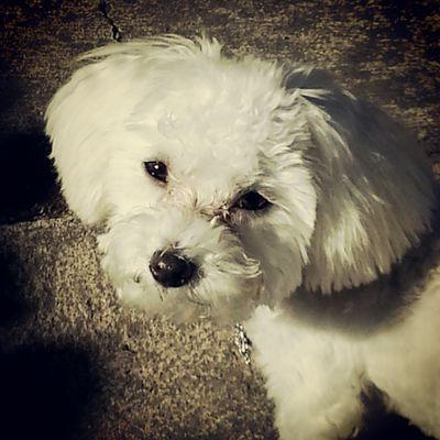 jtmax1975's profile picture. I'm just cool af.