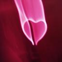 Fiona Pennington - @rosettarocks - Twitter