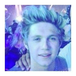 hii please retweet this https://t.co/XjgBW6k1lT and maybe follow @niallsspizza :)