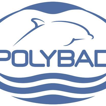 Polybad (@PolybadPops) | Twitter