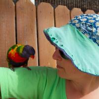 Monica I Friedman (@qwertyvsdvorak) 's Twitter Profile