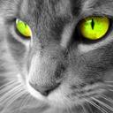 Dora Ramos Thomaz - @DoraThomaz - Twitter