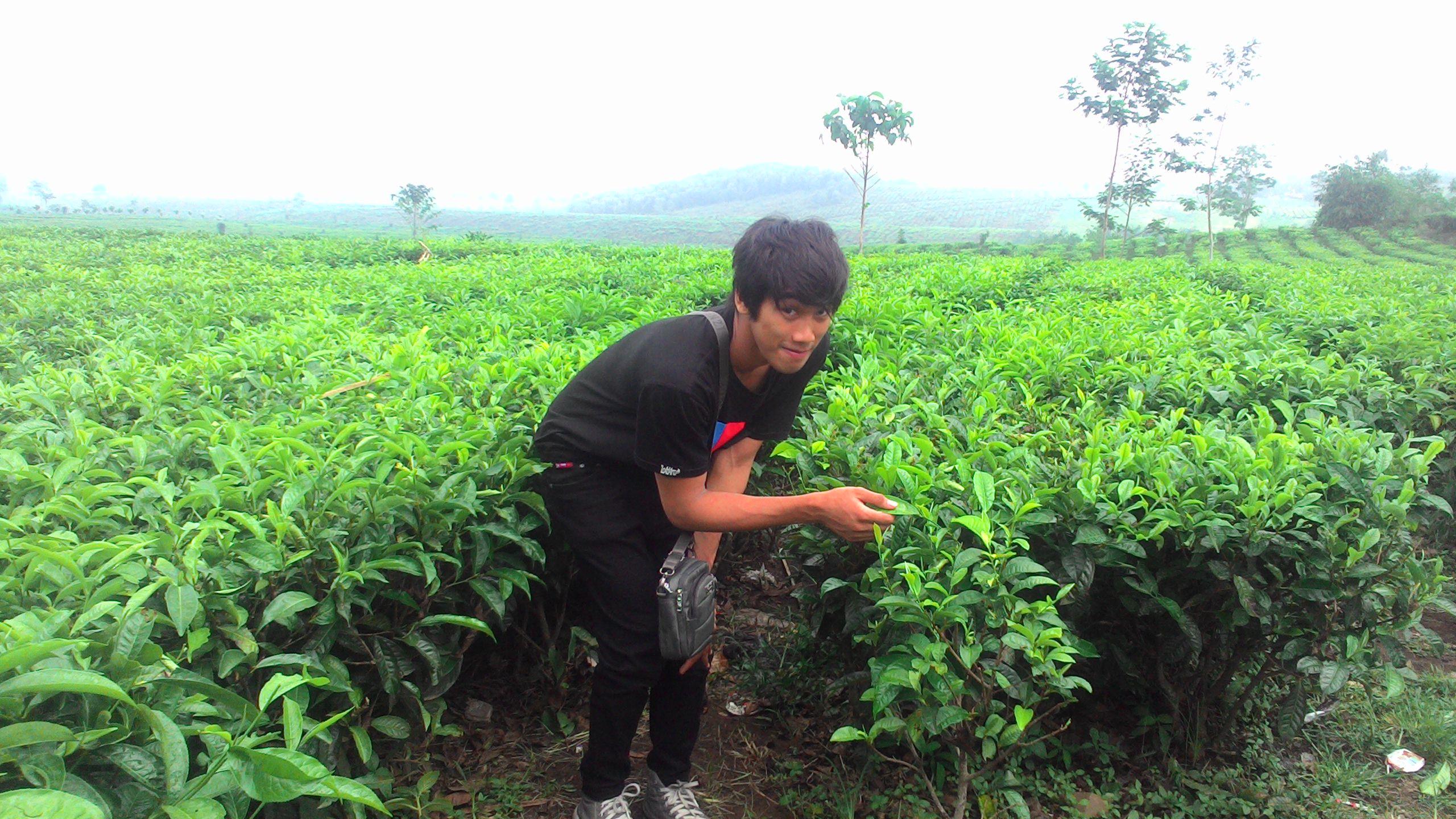 hidup gw berawal dari mimpi