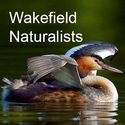 WakefieldNaturalists