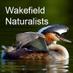 WakefieldNaturalists (@wakeynats) Twitter profile photo WakefieldNaturalists (@wakeynats) Twitter profile photo