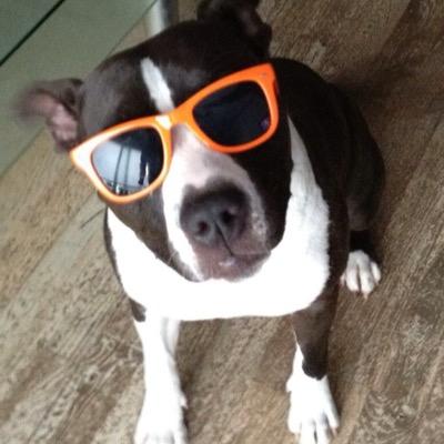 Blood_briar's profile picture. 