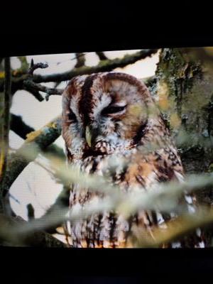 HeronMick's profile picture. 