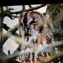 Mick Heron - @HeronMick - Twitter