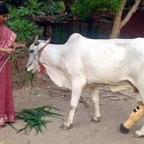 New Delhi