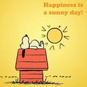 iman soliman - @liquirizia13 - Twitter