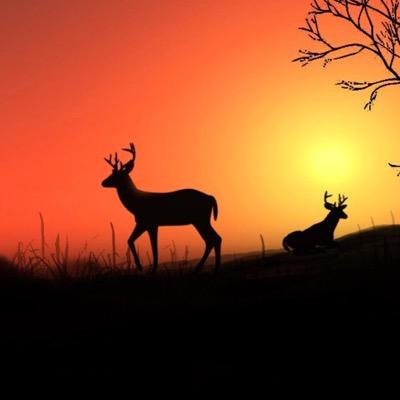 NorthRednecks's profile picture. 