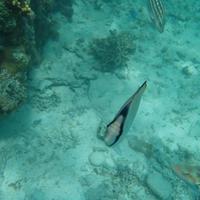 こうた (@kouta_asia) Twitter profile photo