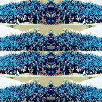 Sekar_ELF (@ayu_taurus) 's Twitter Profile