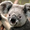 Fatima Carmo - @FatimaCarmo1 - Twitter