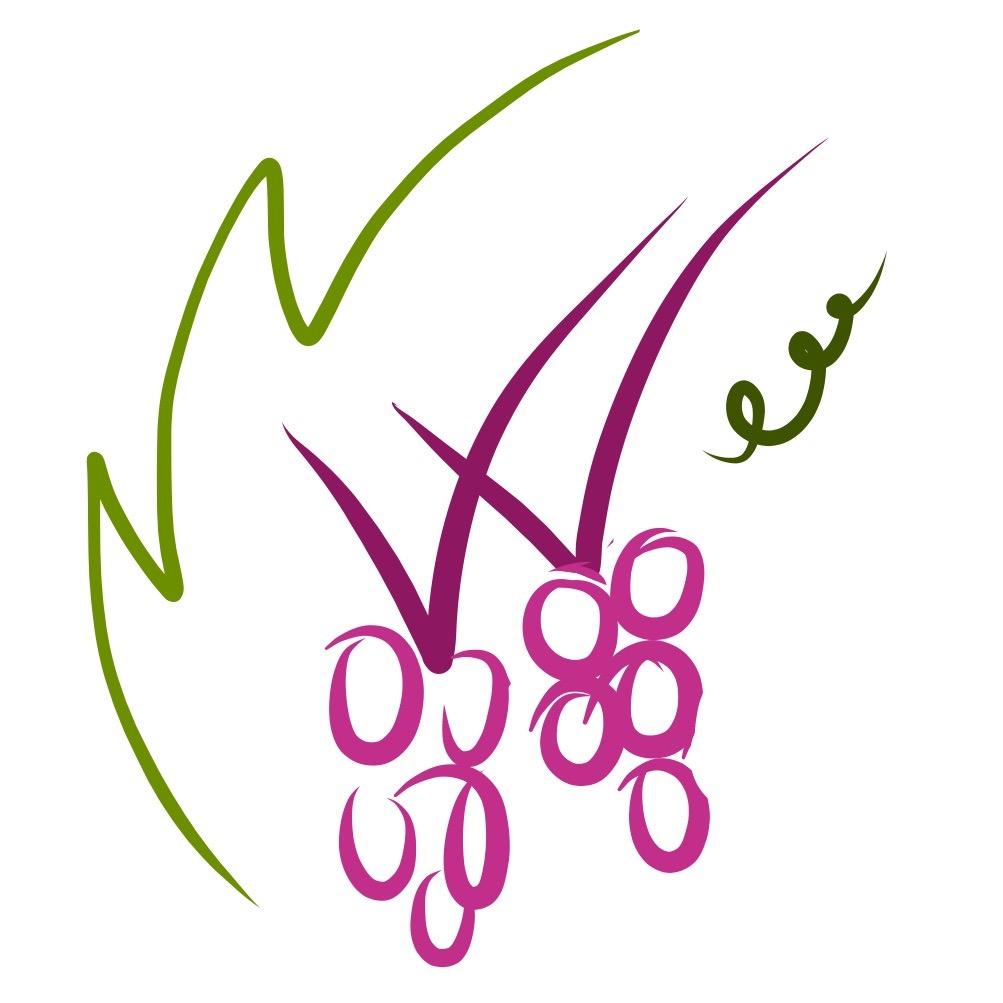 Plataforma de contenidos alrededor del mundo del vino. Divulgar y disfrutar.: noticias, opinión, comercialización...