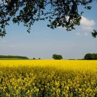 Marian Klobasa (@mak_isi) 's Twitter Profile