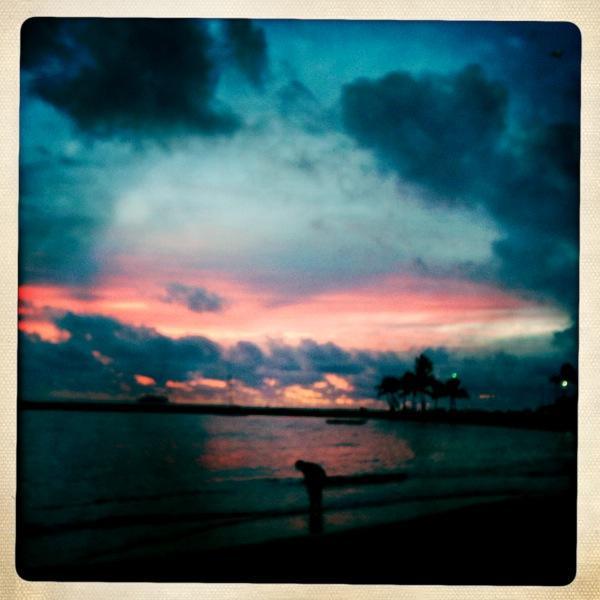 Nature360media's profile picture. 