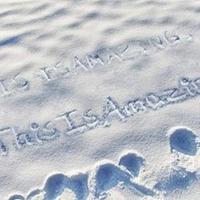 This Is Amazings (@thisisamazings) 's Twitter Profile